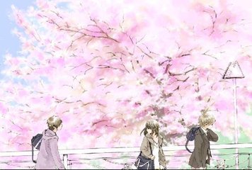 深入了解 十大黄台免费